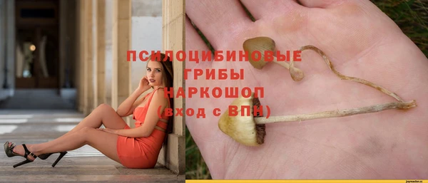 трава Алзамай