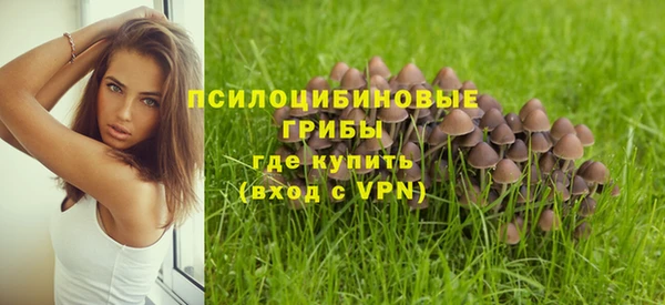 трава Алзамай