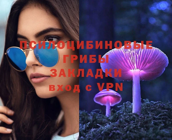 apvp Алексин