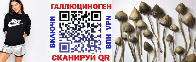 Галлюциногенные грибы ЛСД  Чехов 